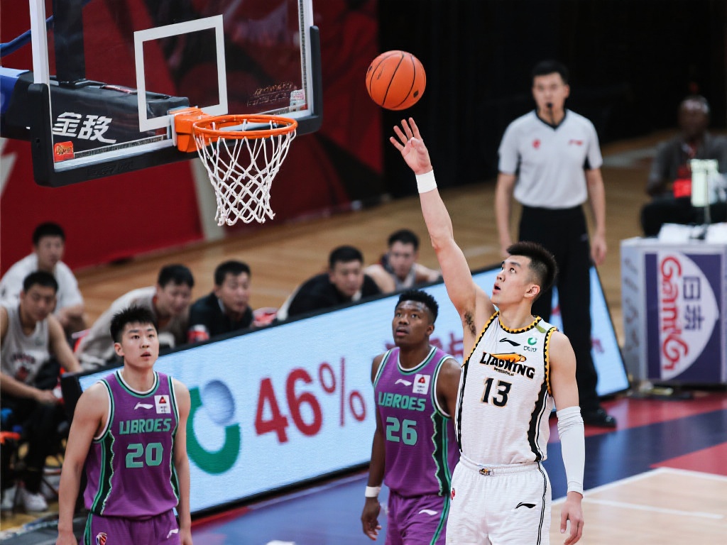 业生涯尾声 业生涯尾声